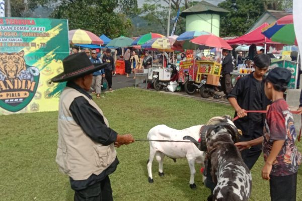 Kodim 0610/Sumedang dan HPDKI Gelar Ketangkasan Adu Domba: Lestarikan Tradisi, Perkuat Kemanunggalan TNI-Rakyat