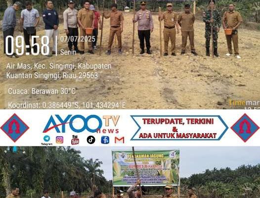 Polres Kuantan Singingi Dukung Penuh Program Asta Cita Presiden RI Melalui Kegiatan Penanaman Jagung di Tiga Kecamatan